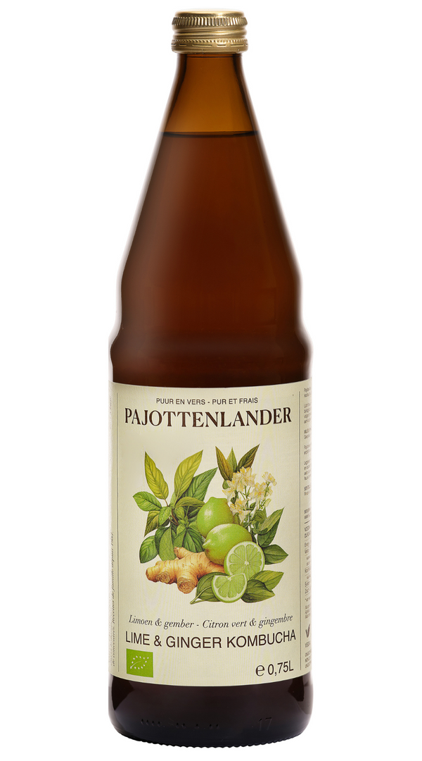 Kombucha lemon & ginger Pajottenlander 75 cl