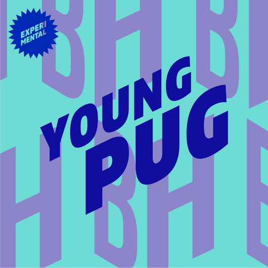 Bière Brique House Young Pug IPA 0,0% sans alcool 🥂 Sanzalc, la cave sans alcool et sans complexe