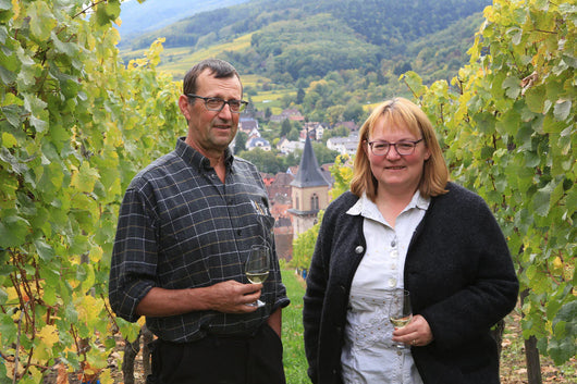 Effervescent blanc d'Alsace Ribo sans alcool 0,5% Sanzalc, cave sans alcool pour adultes décomplexés