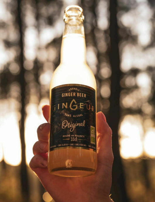 Ginger Beer Bio Gingeur 33 cl Sanzalc, cave sans alcool pour adultes décomplexés