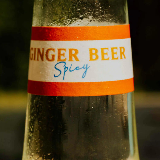 Ginger Beer spicy Bio Hysope 75 cl Sanzalc, cave sans alcool pour adultes décomplexés