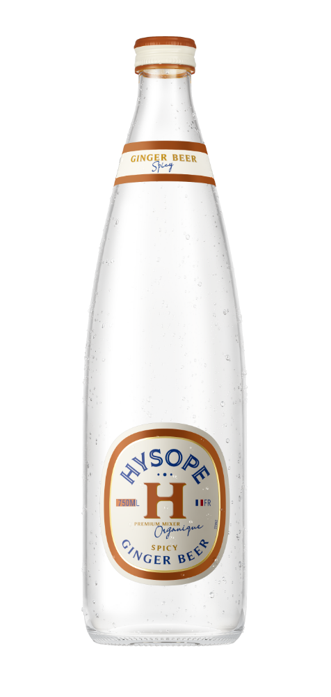 Ginger Beer spicy Bio Hysope 75 cl Sanzalc, cave sans alcool pour adultes décomplexés