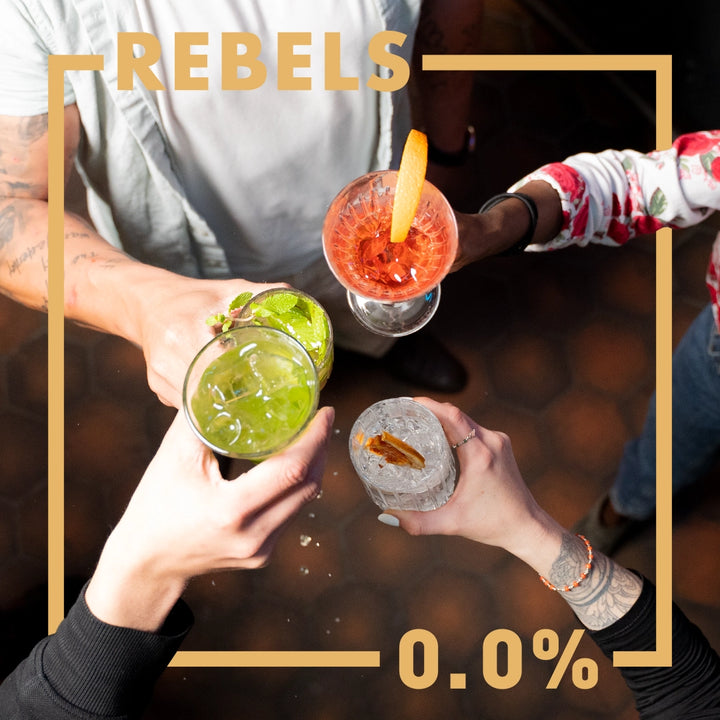 Rebels 0.0% Gin Alternative sans alcool Sanzalc, cave sans alcool pour adultes décomplexés