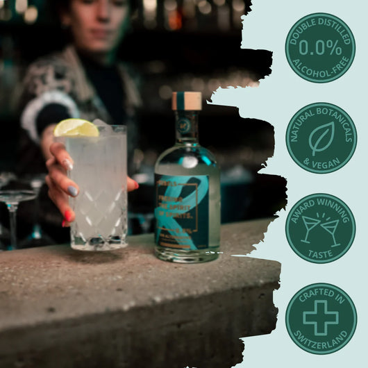 Rebels 0.0% Gin Alternative sans alcool Sanzalc, cave sans alcool pour adultes décomplexés