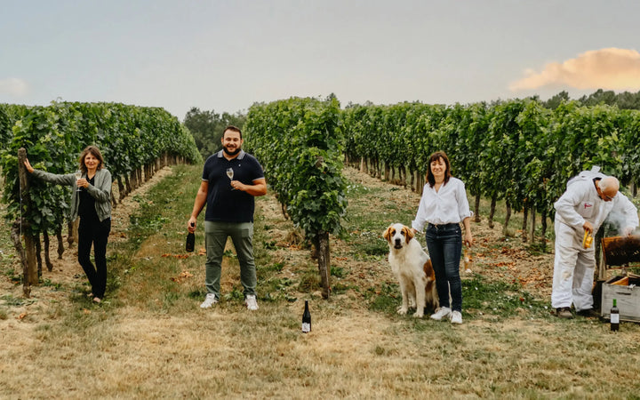 Vin blanc Sauv'Terre sans alcool 0,0% Sanzalc, cave sans alcool pour adultes décomplexés