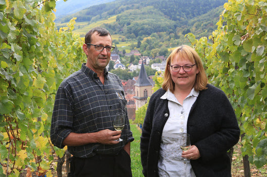 Vin blanc d'Alsace Ribo sans alcool 0,5% Sanzalc, cave sans alcool pour adultes décomplexés