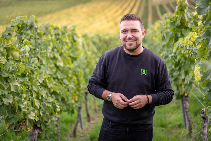 Vin rosé NoLimit Daniel Mattern sans alcool 0,5% Sanzalc, cave sans alcool pour adultes décomplexés