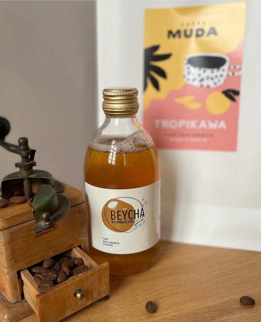 BEŸCHA kombucha café 33cl - Sanzalc, cave sans alcool pour adultes décomplexés